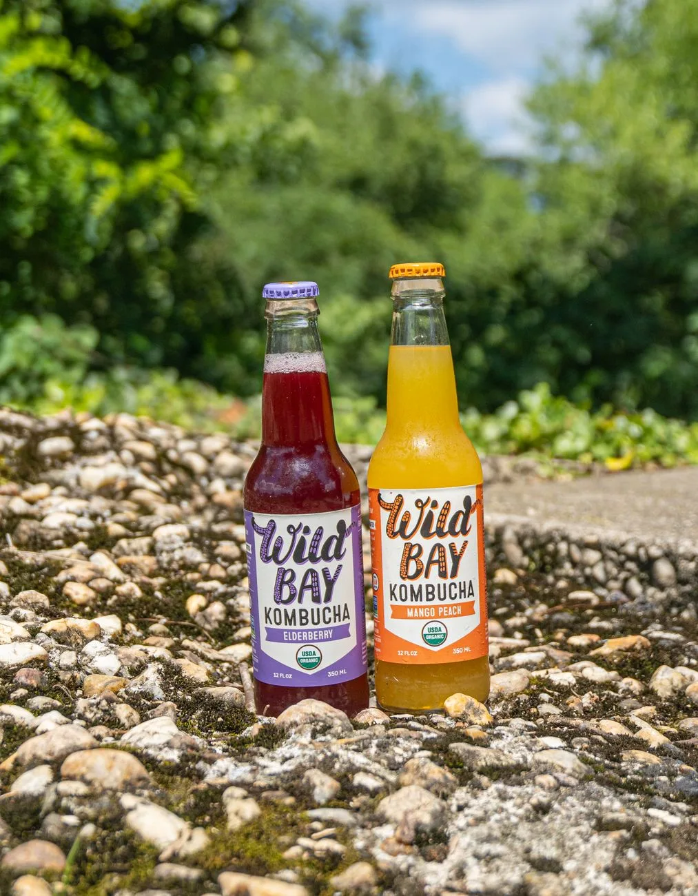 Bir bardak kombucha çayı